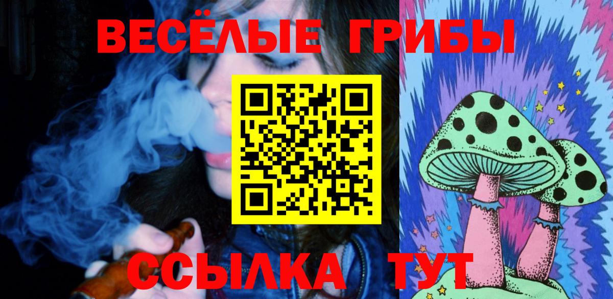 Галлюциногенные грибы Psilocybine cubensis  как найти наркотики  Вход с VPN  Орехово-Зуево  Псилоцибиновые грибы MAGIC MUSHROOMS 